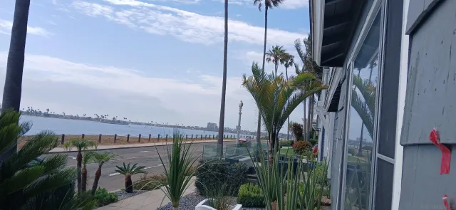a view of a palm plant from a balcony