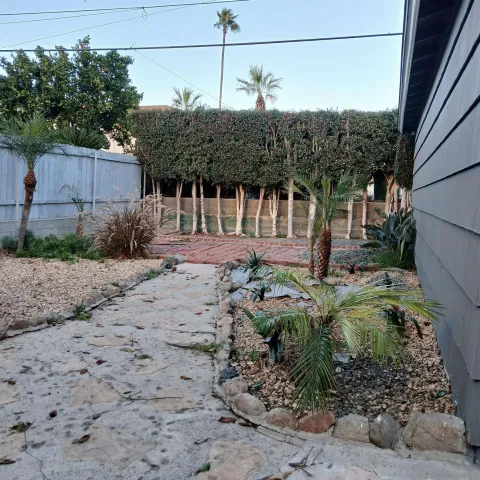 a front view of house with a garden