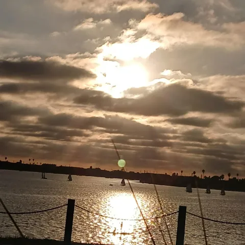 a view of a city and lake