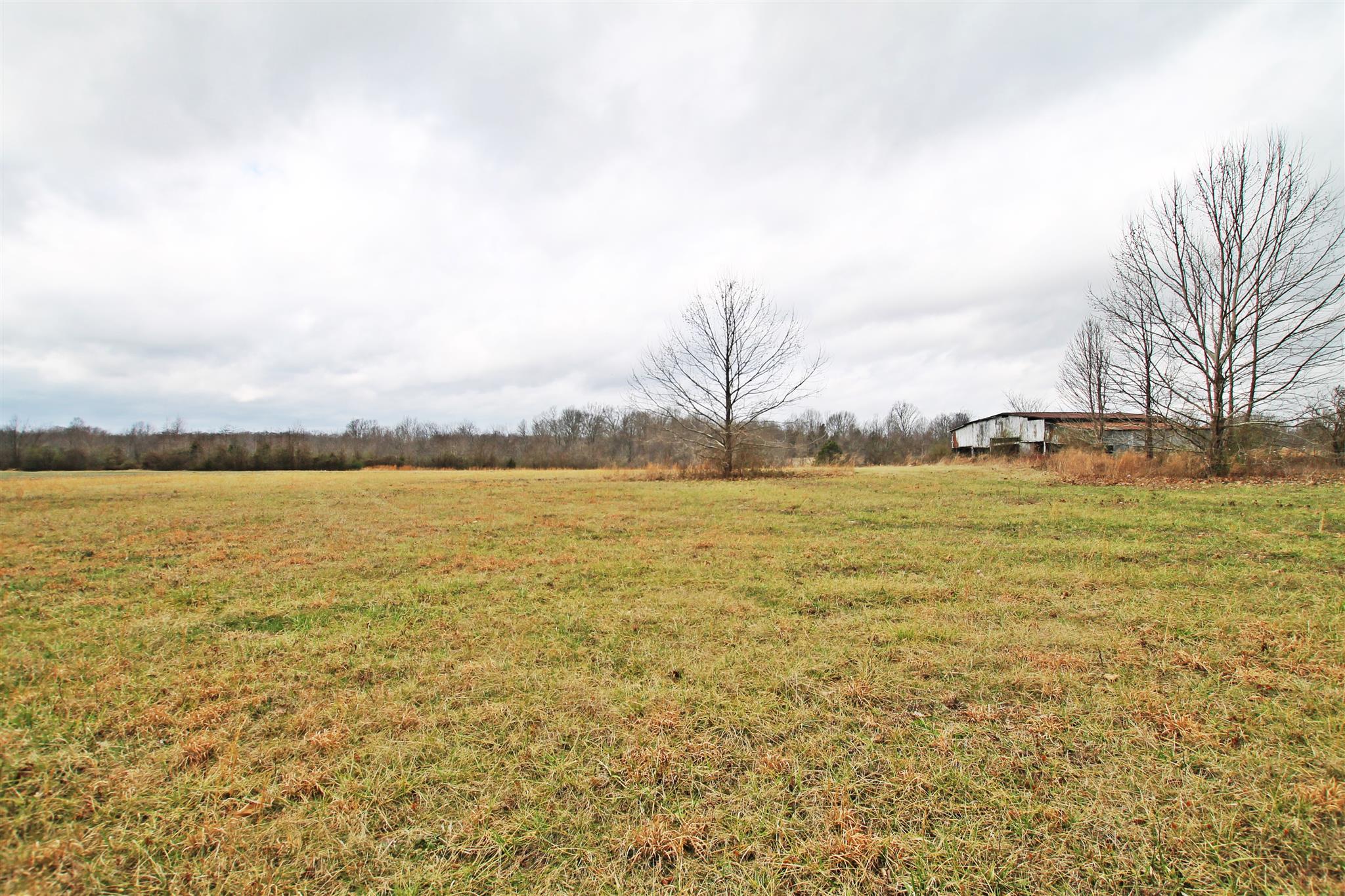 0 New Cut Road Greenbrier, TN 37073 - Photo 11 of 13 Gallery Image 11