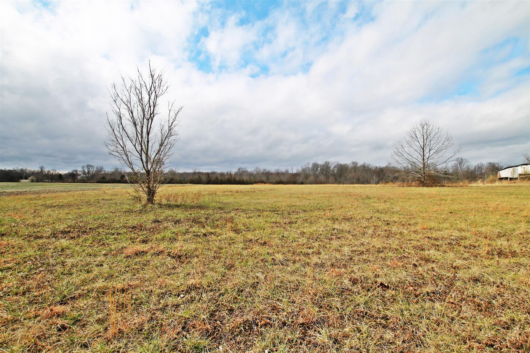 0 New Cut Road Greenbrier, TN 37073 - Photo 3 of 13 Gallery Image 3