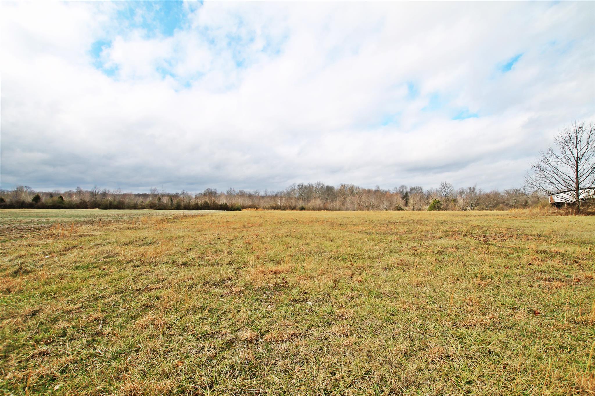 0 New Cut Road Greenbrier, TN 37073 - Photo 4 of 13 Gallery Image 4