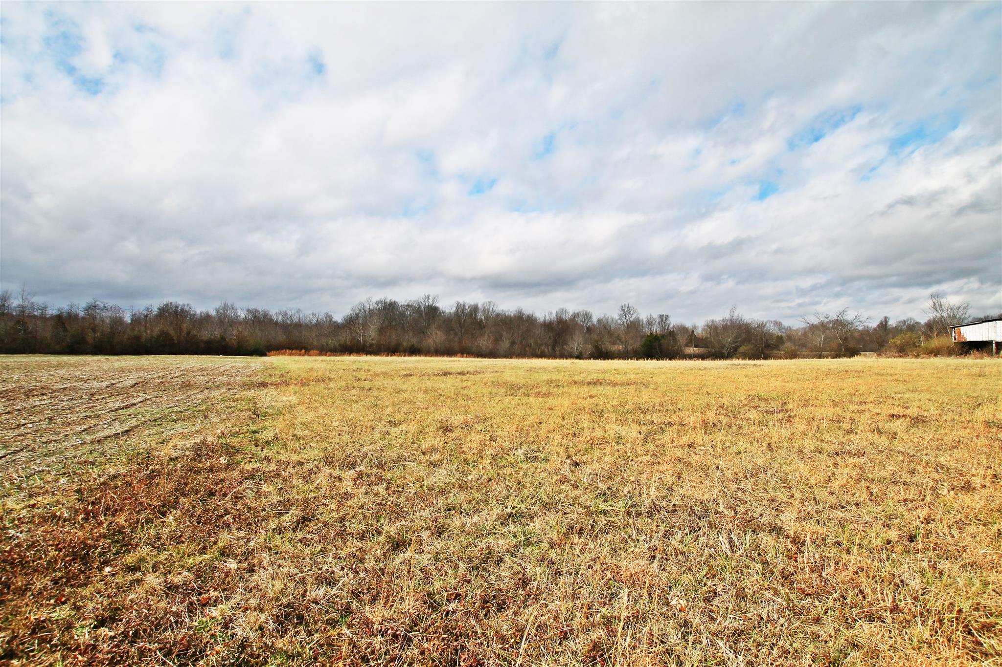0 New Cut Road Greenbrier, TN 37073 - Photo 5 of 13 Gallery Image 5