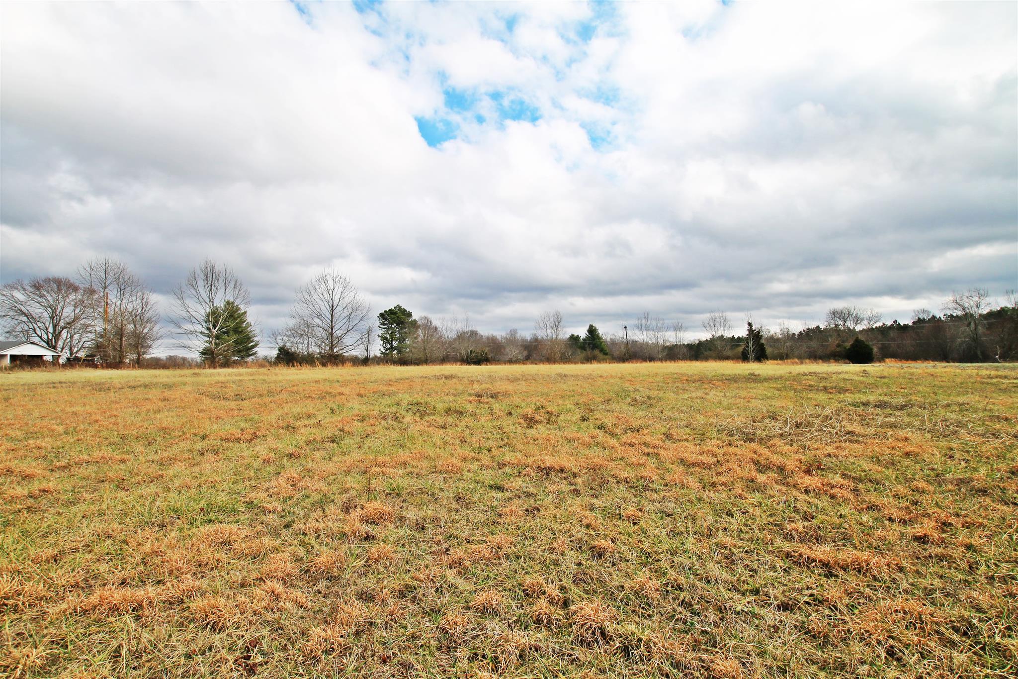 0 New Cut Road Greenbrier, TN 37073 - Photo 6 of 13 Gallery Image 6