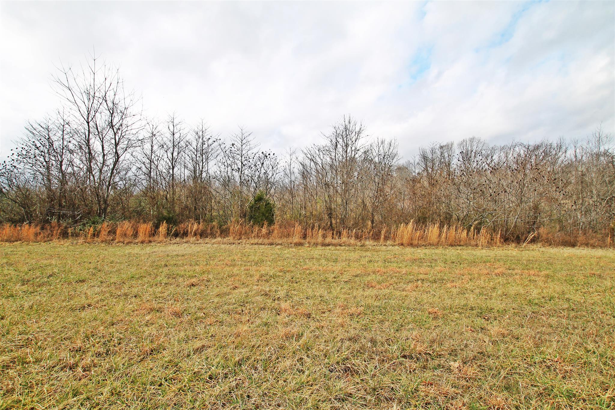 0 New Cut Road Greenbrier, TN 37073 - Photo 8 of 13 Gallery Image 8