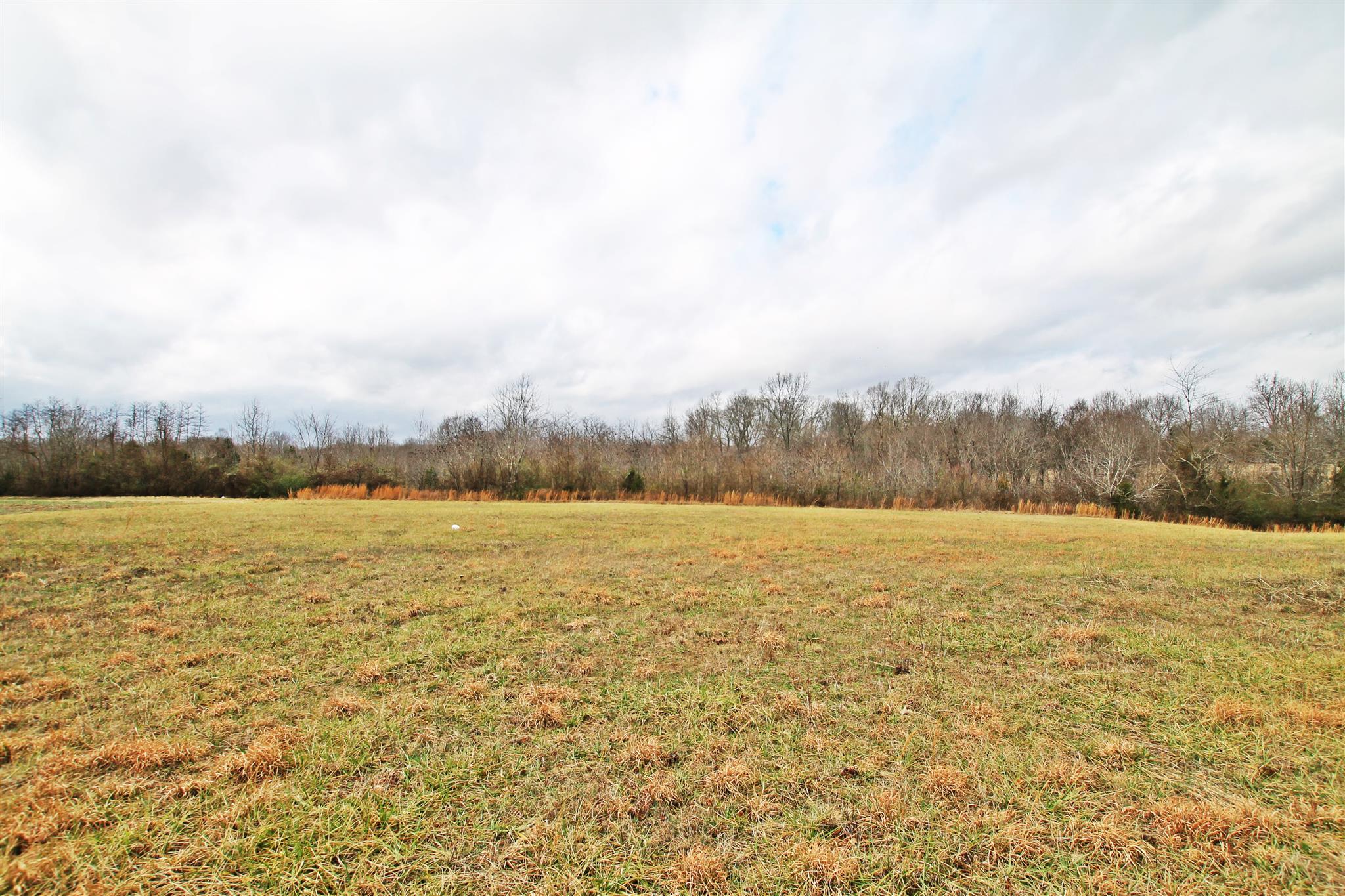 0 New Cut Road Greenbrier, TN 37073 - Photo 9 of 13 Gallery Image 9