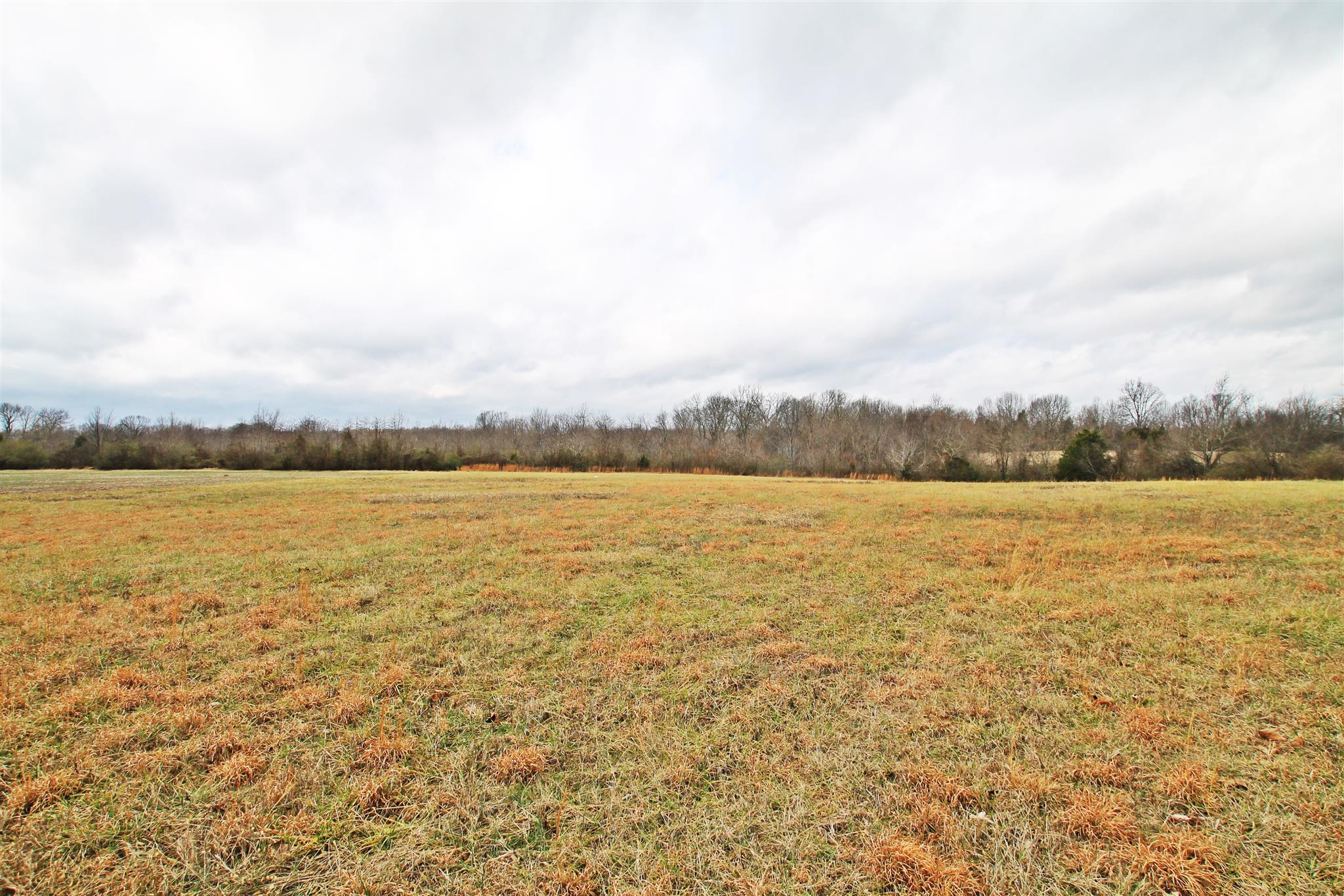 0 New Cut Road Greenbrier, TN 37073 - Photo 10 of 13 Gallery Image 10