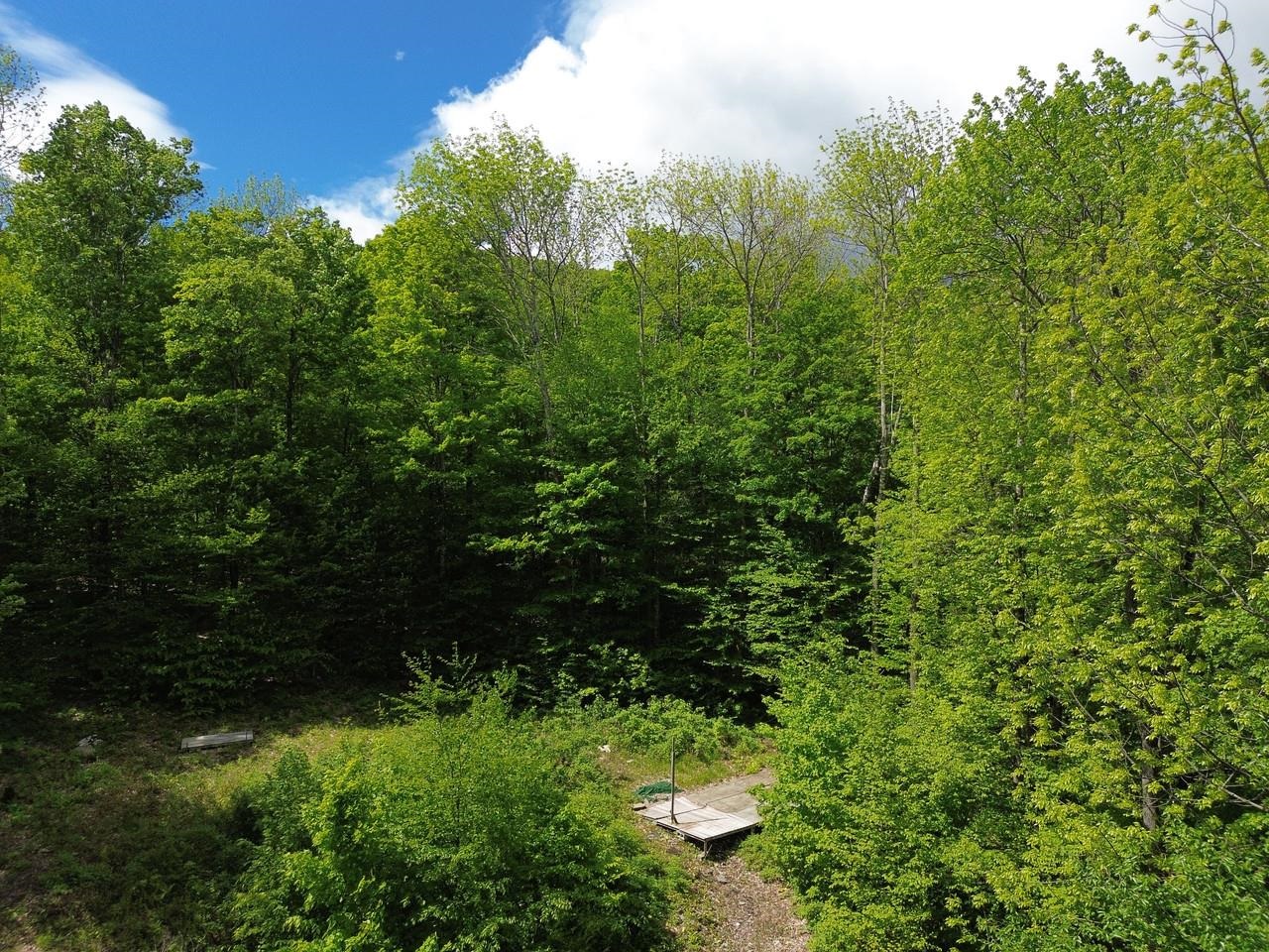 197 Sugar Ledge Road, Unit 4 Warren, VT 05674 - Photo 7 of 17