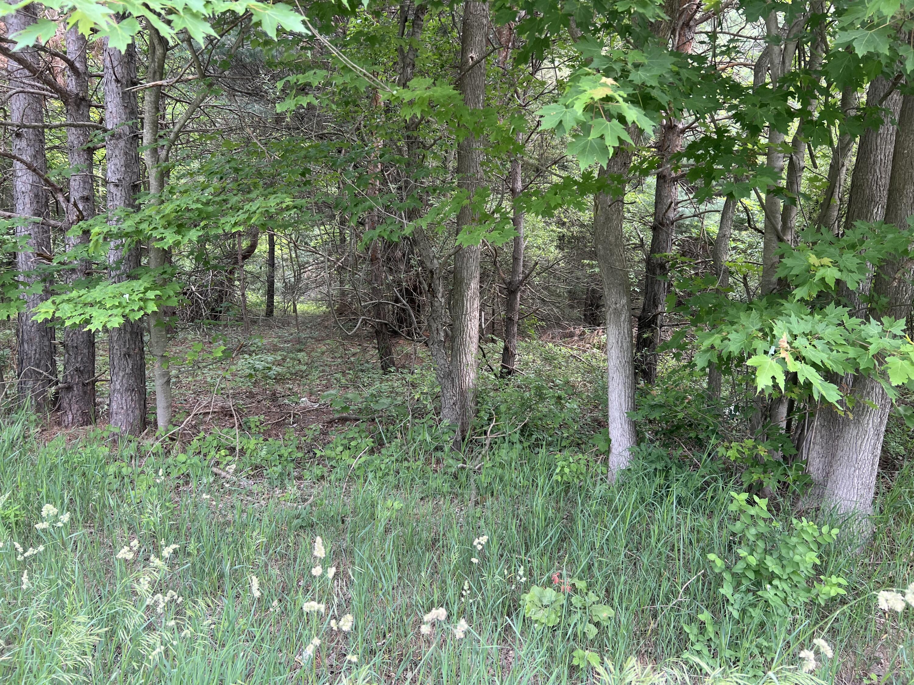 Vl West Bard Road Muskegon, MI 49445 - Photo 2 of 3 IMG_1777