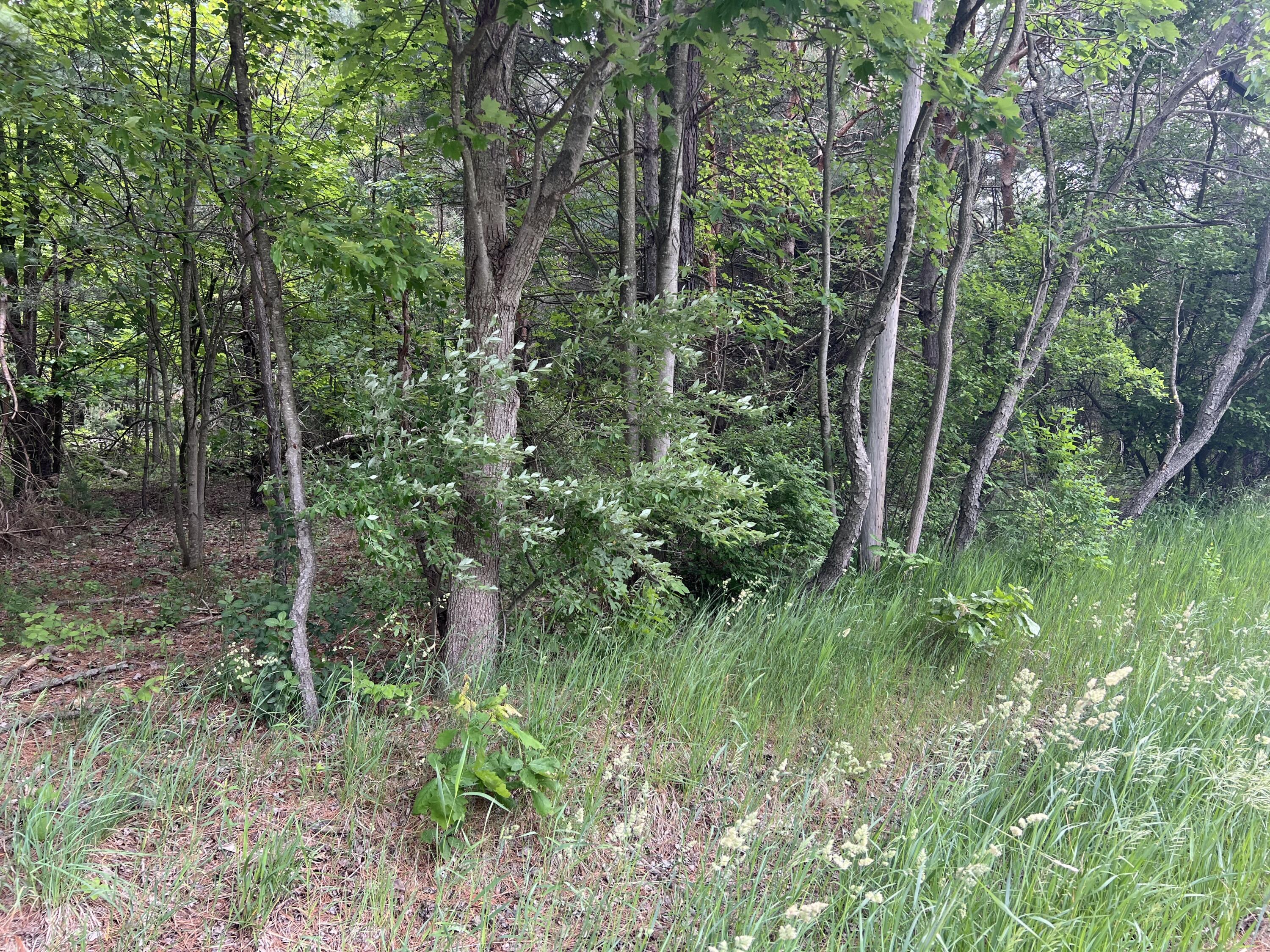 Vl West Bard Road Muskegon, MI 49445 - Photo 3 of 3 IMG_1780