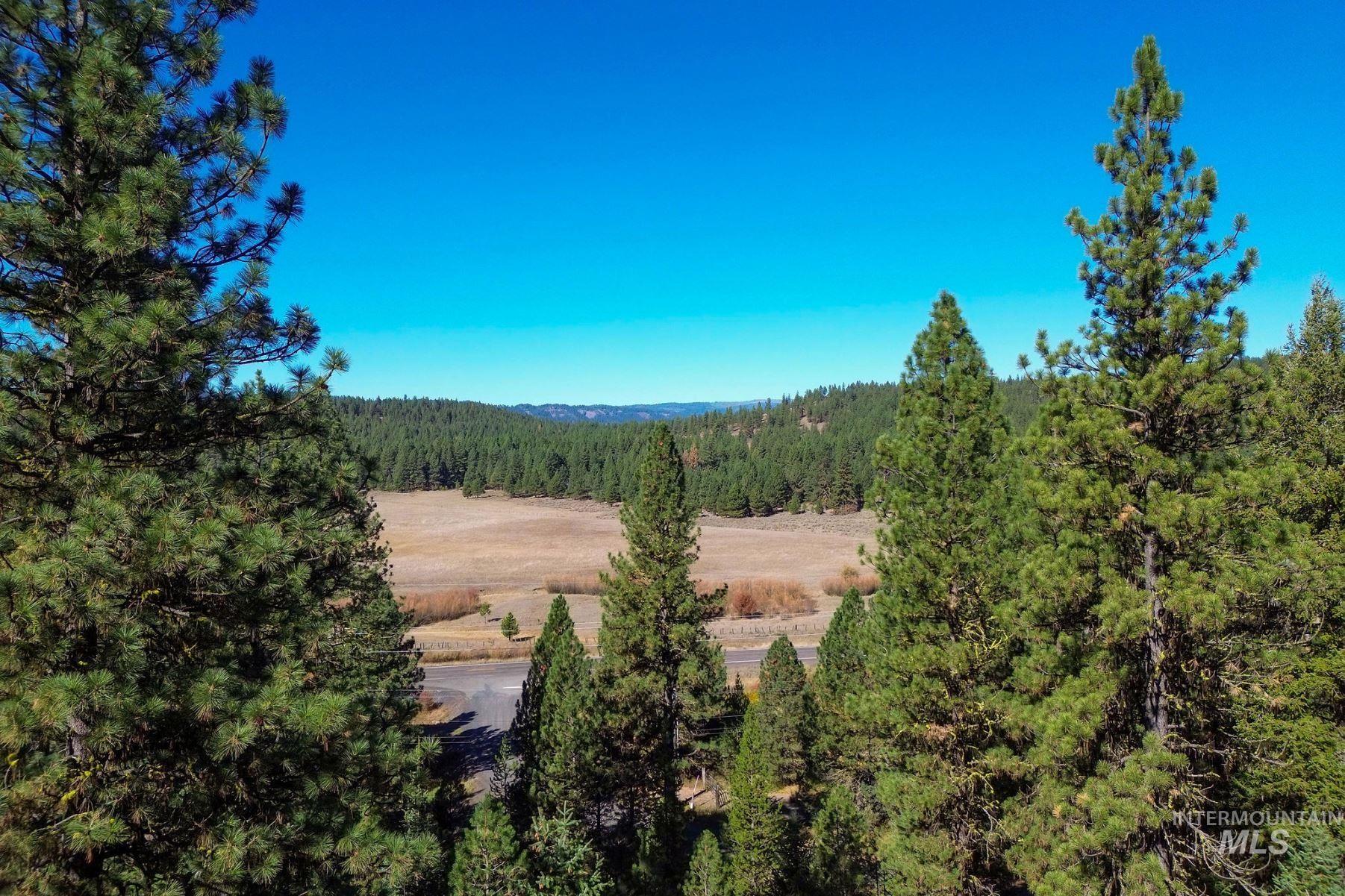 Lot 22 Rim Road New Meadows, ID 83654 - Photo 11 of 49