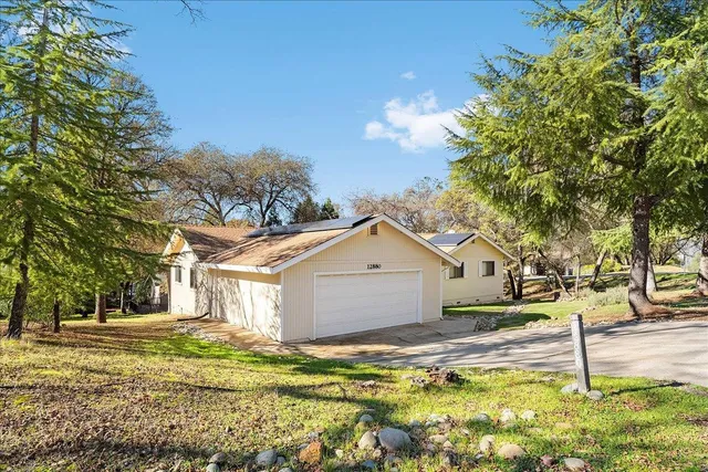 a view of a yard with plants and trees