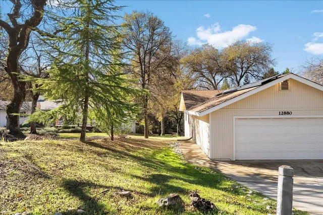 a view of dirt yard with a large tree