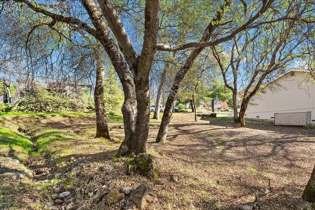 a front view of a house with a garden and tree