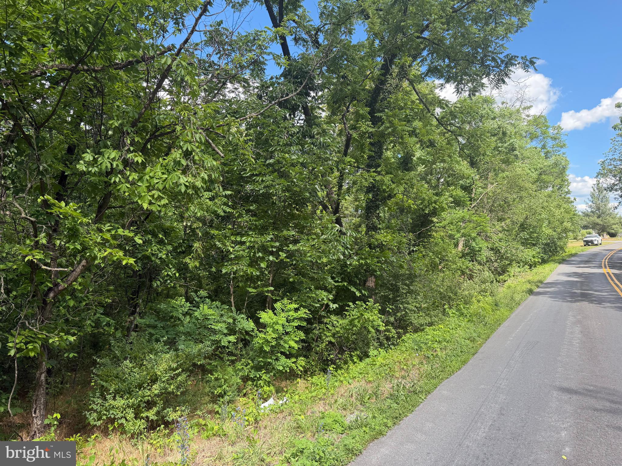 Lot 13 Redbud Road Winchester, VA 22603 - Photo 2 of 4