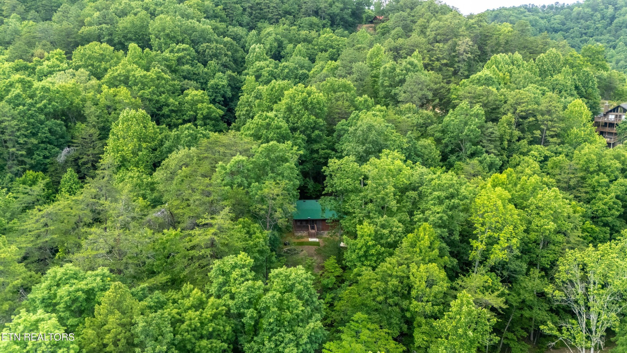 3040 Patty View Way Pigeon Forge, TN 37862 - Photo 28 of 30