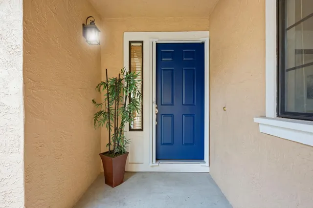 a view of a hallway with a potted plant