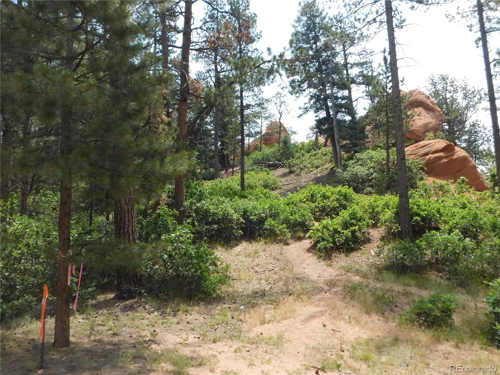 8356 Quivas Road Larkspur, CO 80118 - Photo 4 of 44
