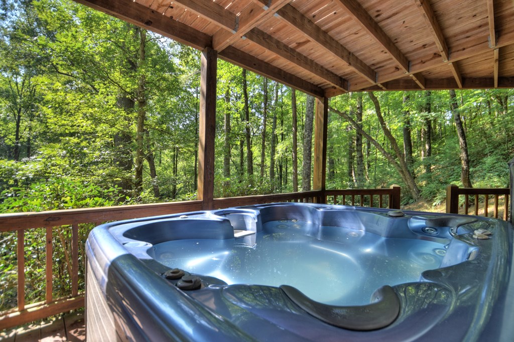 91 Dream Cove Road Cherry Log, GA 30522 - Photo 28 of 83