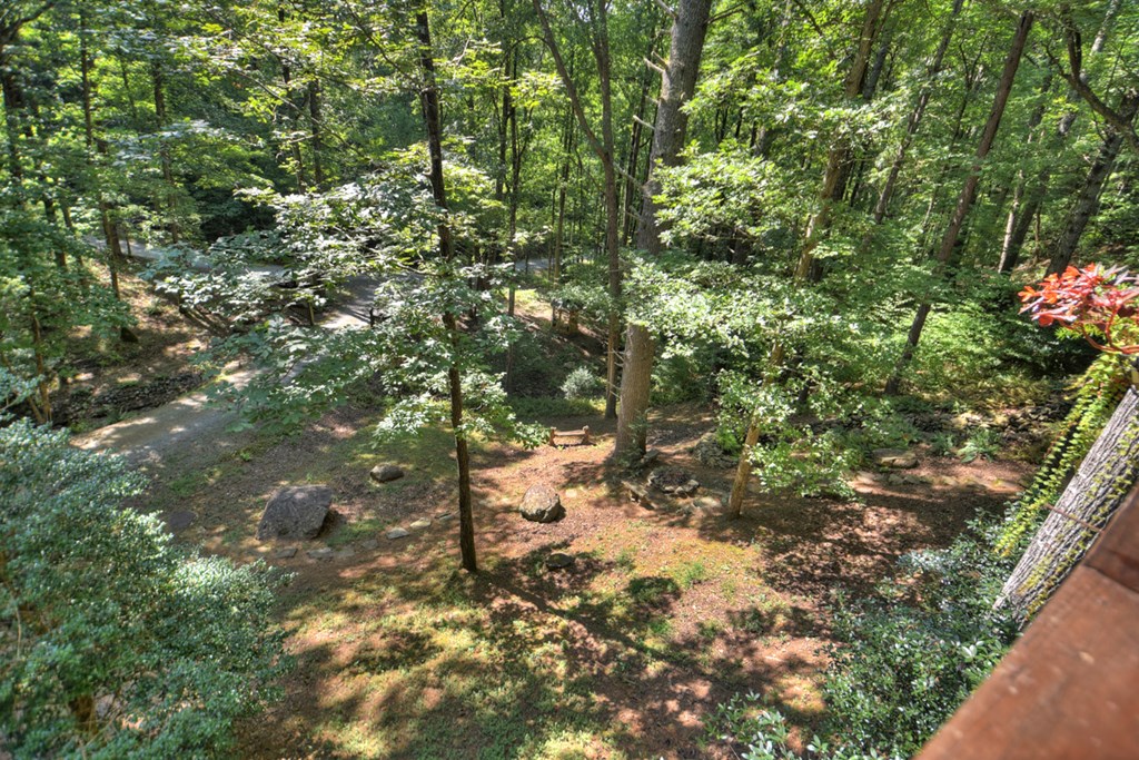91 Dream Cove Road Cherry Log, GA 30522 - Photo 36 of 83 a view of a forest with a tree