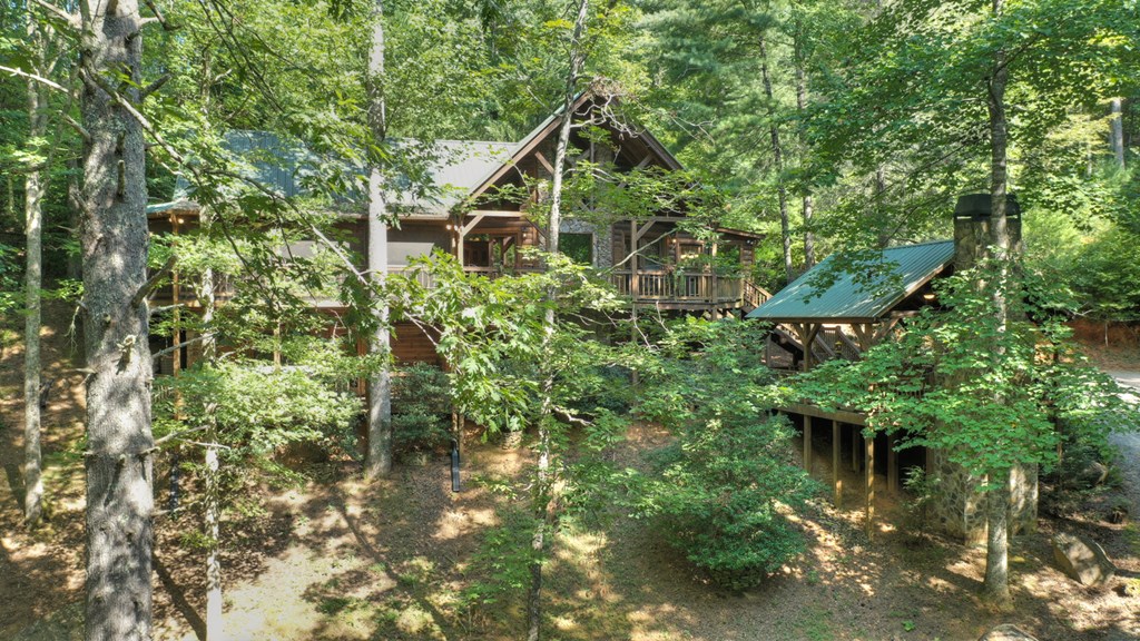 91 Dream Cove Road Cherry Log, GA 30522 - Photo 58 of 83
