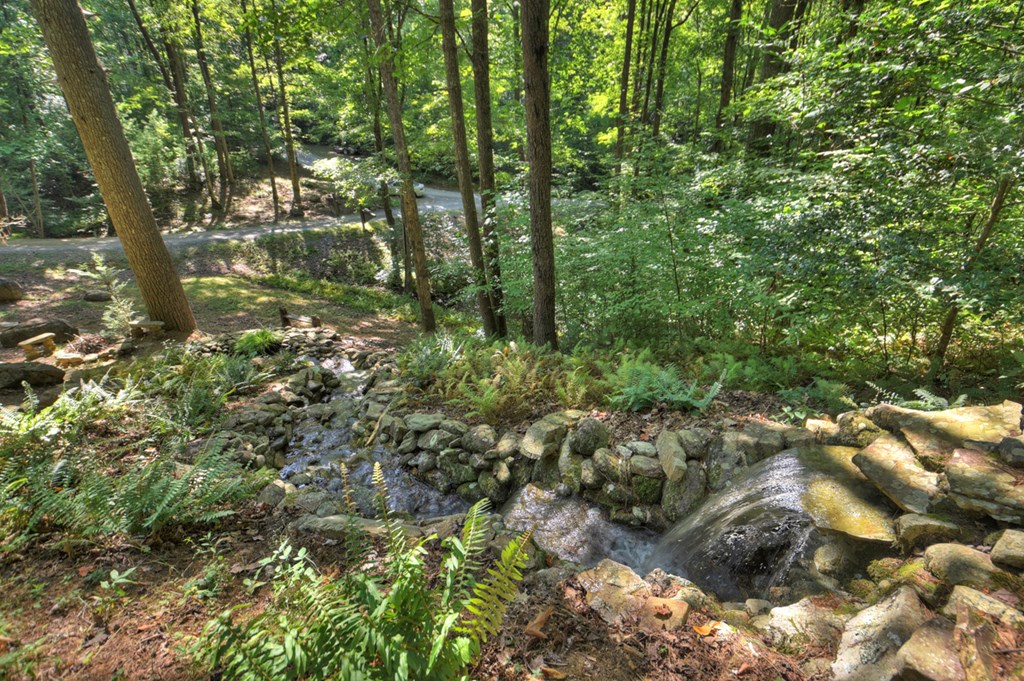 91 Dream Cove Road Cherry Log, GA 30522 - Photo 60 of 83 a view of a forest with a tree