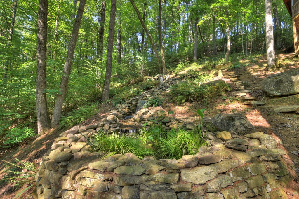 91 Dream Cove Road Cherry Log, GA 30522 - Photo 62 of 83 a view of a garden with plants