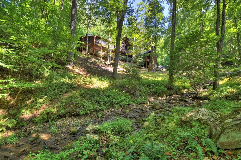 91 Dream Cove Road Cherry Log, GA 30522 - Photo 70 of 83