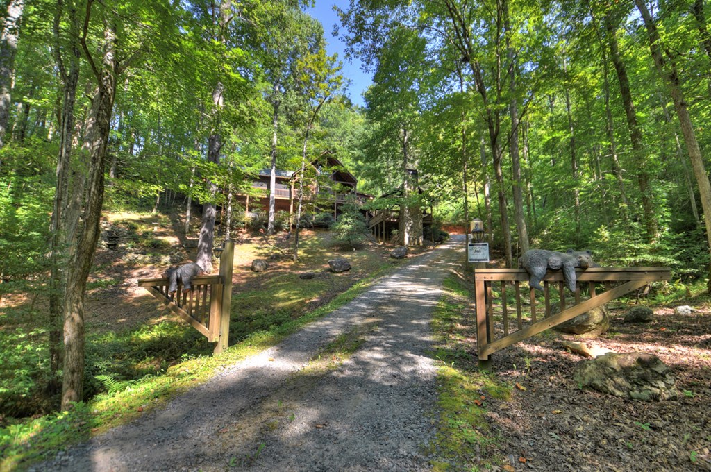 91 Dream Cove Road Cherry Log, GA 30522 - Photo 73 of 83 a view of yard
