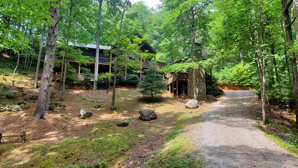 91 Dream Cove Road Cherry Log, GA 30522 - Photo 80 of 83 a view of a yard with plants and large trees