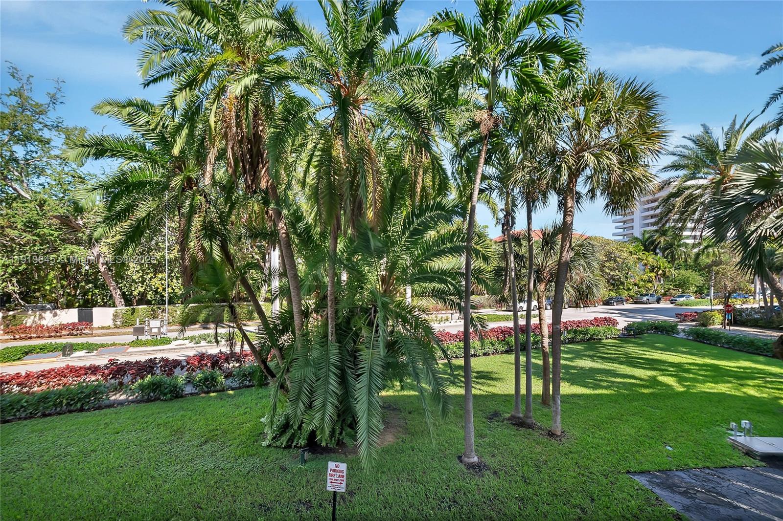 100 Ocean Ln Drive, Unit 202 Key Biscayne, FL 33149 - Photo 22 of 22 a view of a park with large trees