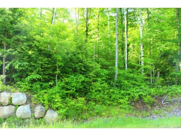 11 Hay Hill Road Lincoln, NH 03251 - Photo 3 of 19 Gallery Image 3