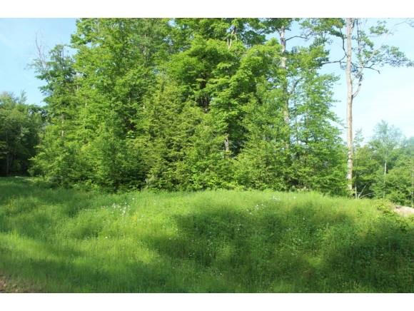 11 Hay Hill Road Lincoln, NH 03251 - Photo 6 of 19 Gallery Image 6