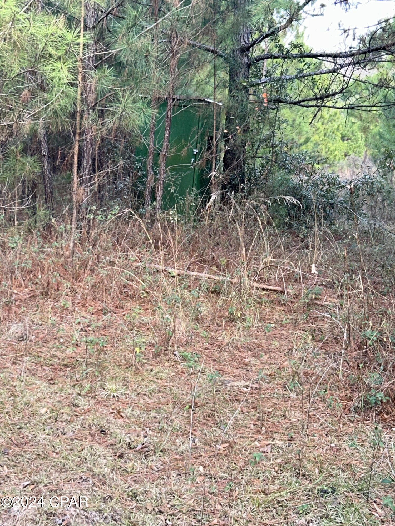 286 Ne Creek Grand Ridge, FL 32442 - Photo 2 of 7
