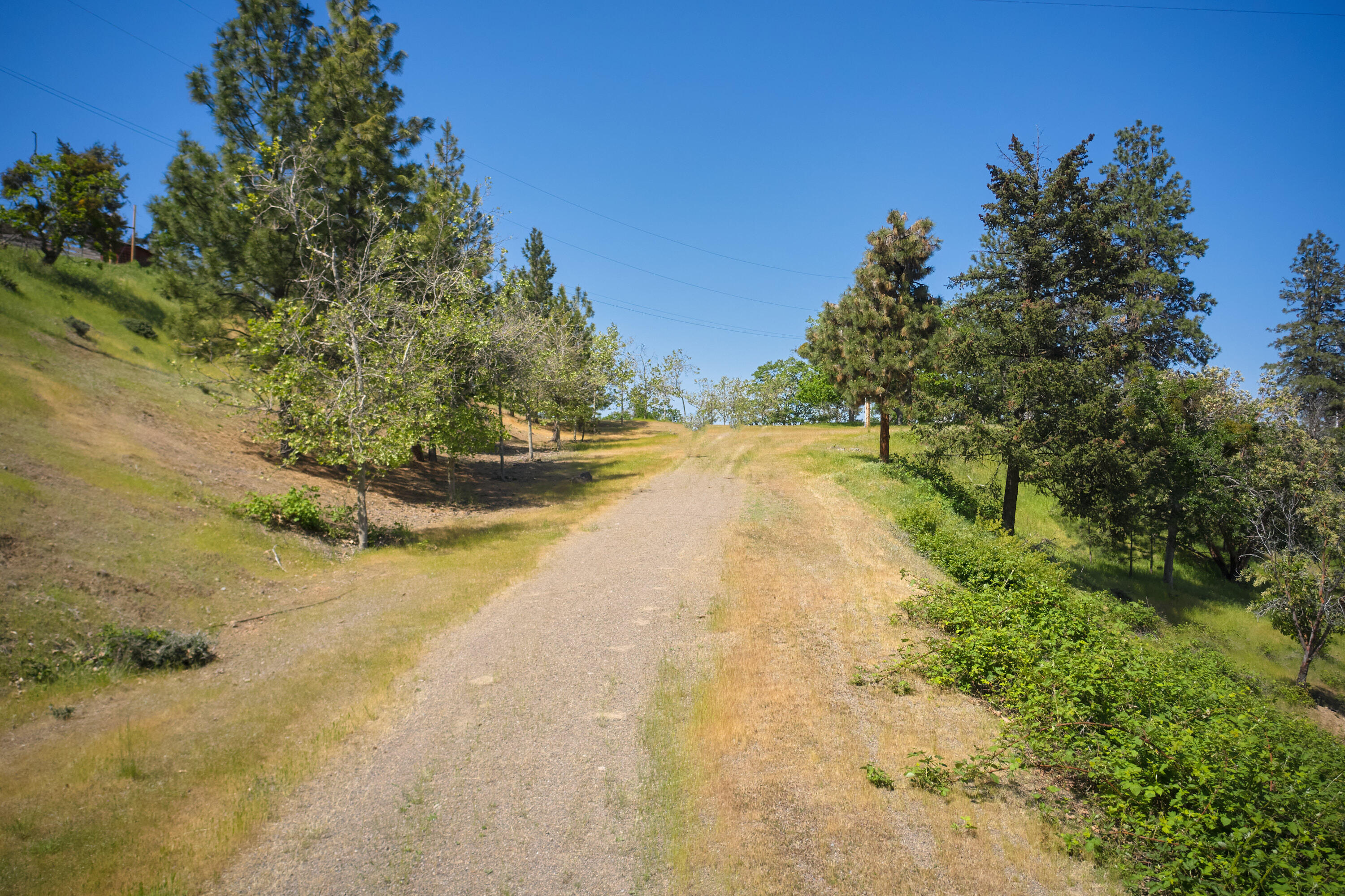 6318 Adams Road Talent, OR 97540 - Photo 12 of 39 6318 Adams Rd 5-2 adds-15