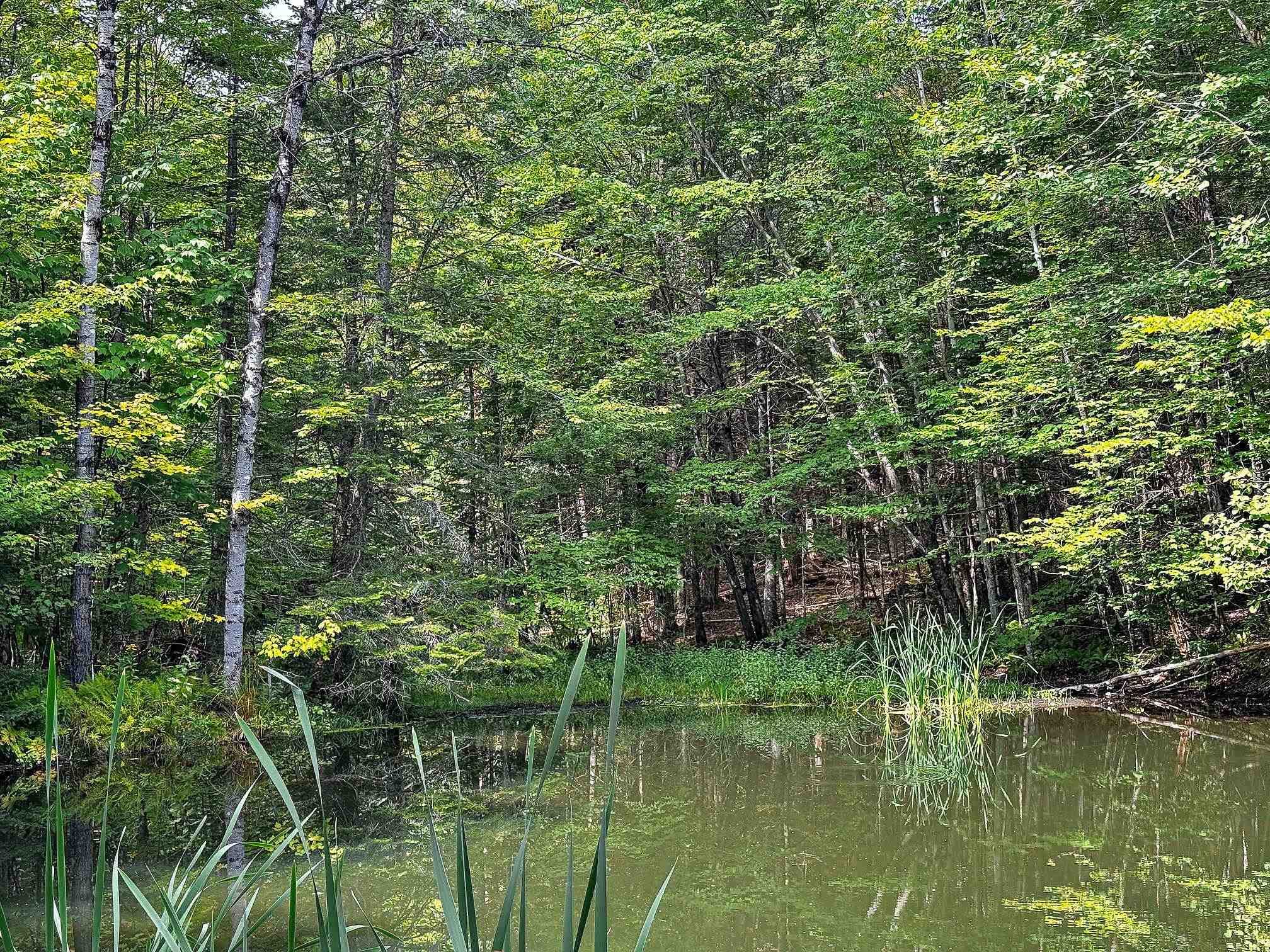 1832 Kinney Hill Road Newark, VT 05871 - Photo 8 of 13 Gallery Image 8
