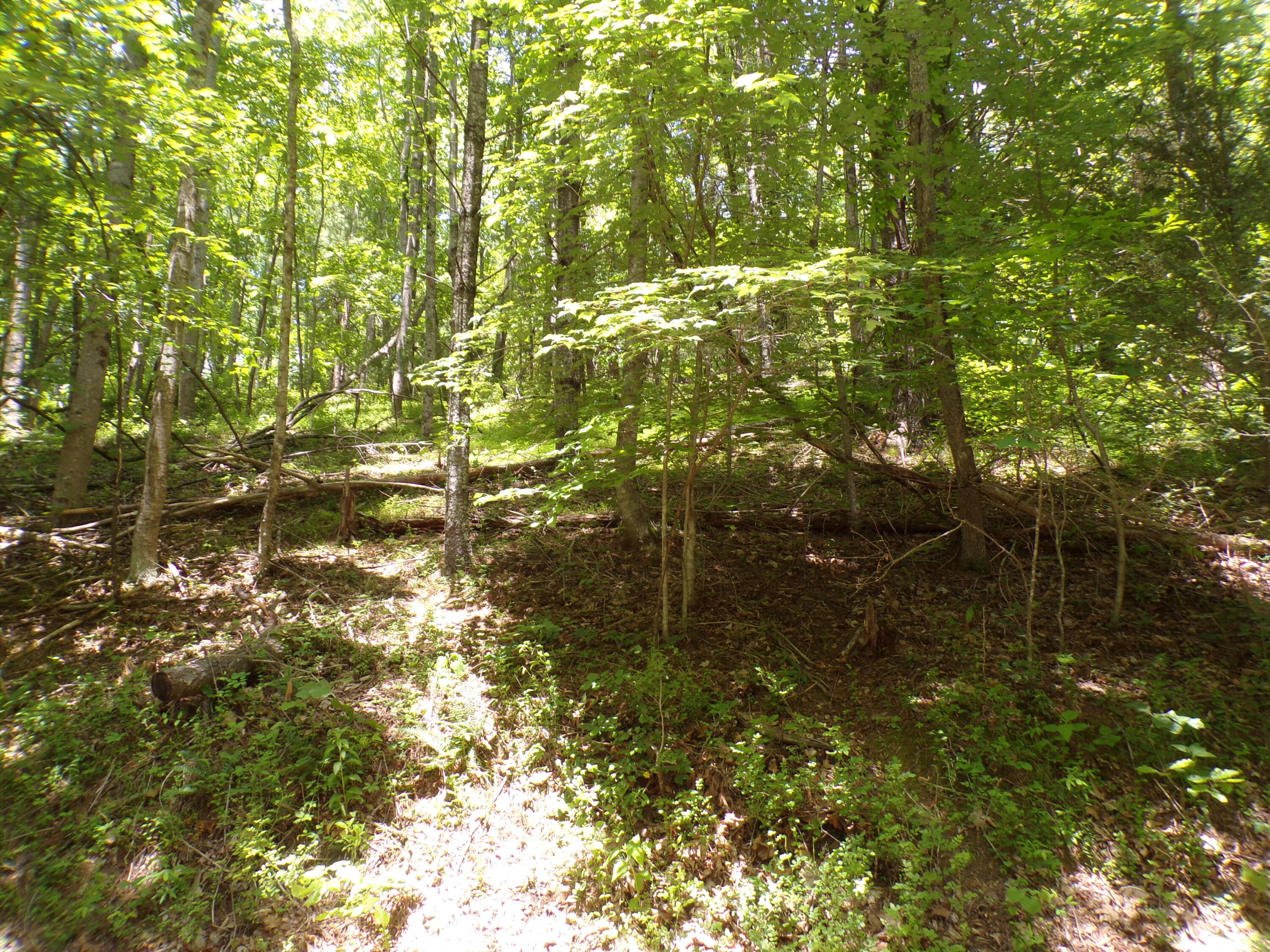 140 Moody Circle Butler, TN 37640 - Photo 1 of 10 103_7556