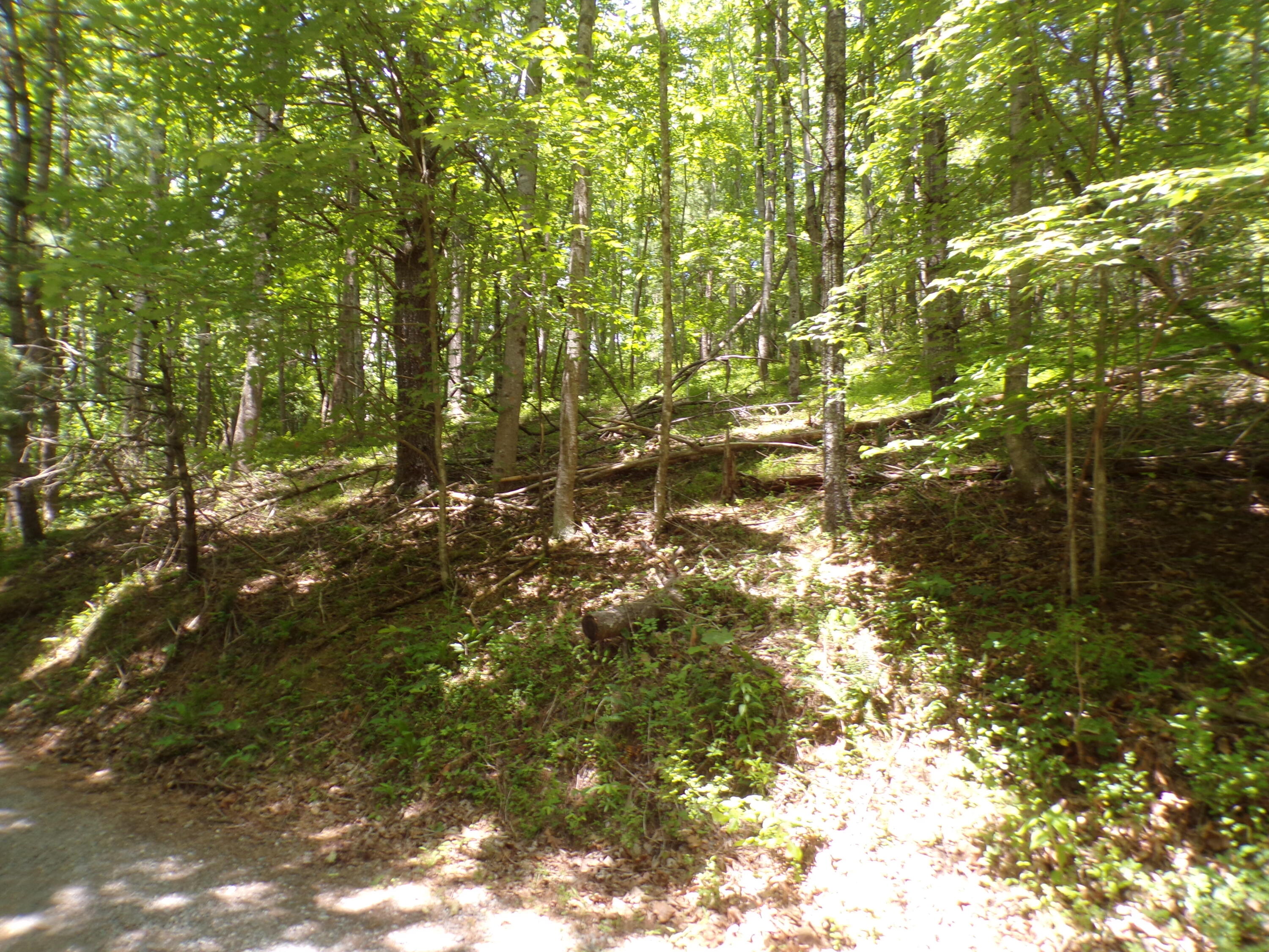 140 Moody Circle Butler, TN 37640 - Photo 2 of 10 103_7554