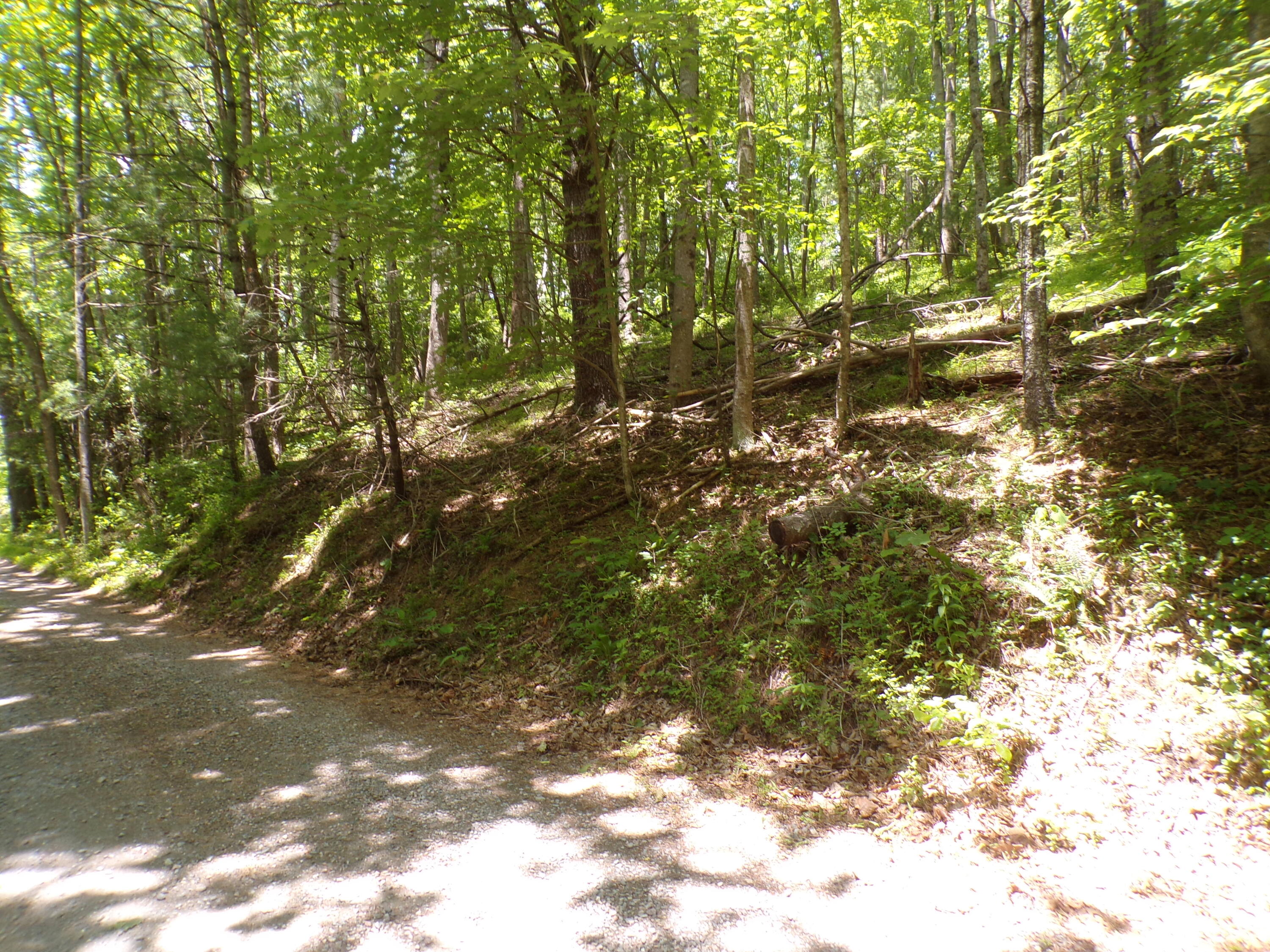 140 Moody Circle Butler, TN 37640 - Photo 4 of 10 103_7555