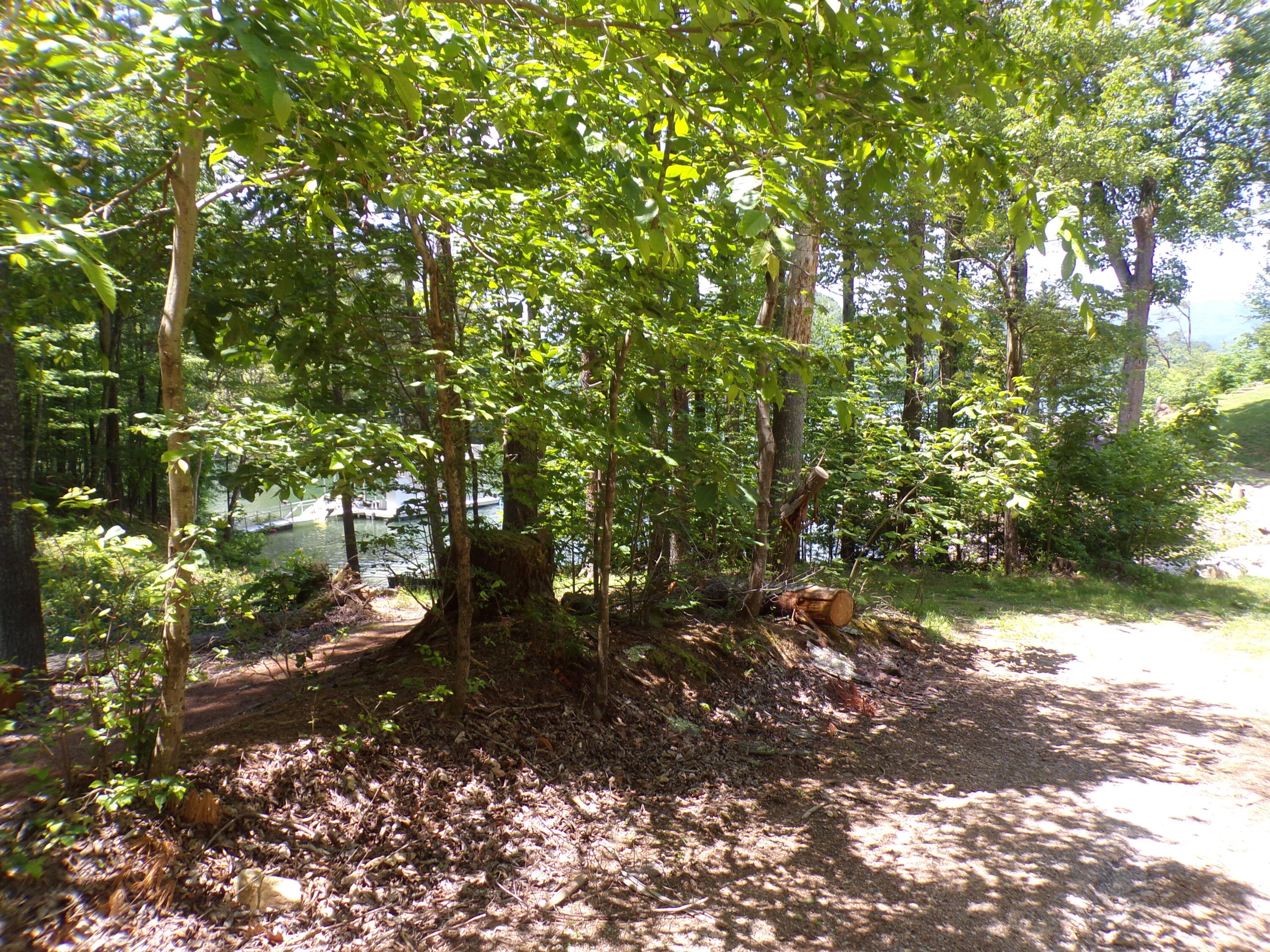 140 Moody Circle Butler, TN 37640 - Photo 8 of 10 103_7550