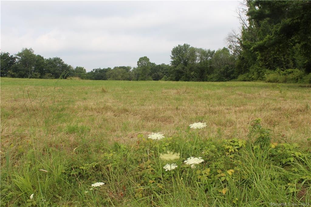 Beautiful, open and peaceful buildable lot - an old hay field