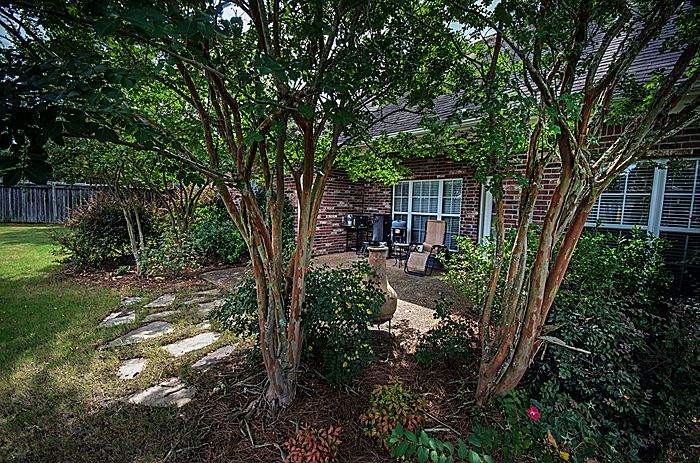 604 Overlook Point Brandon, MS 39047 - Photo 27 of 29 Lovely landscaping in back yard.