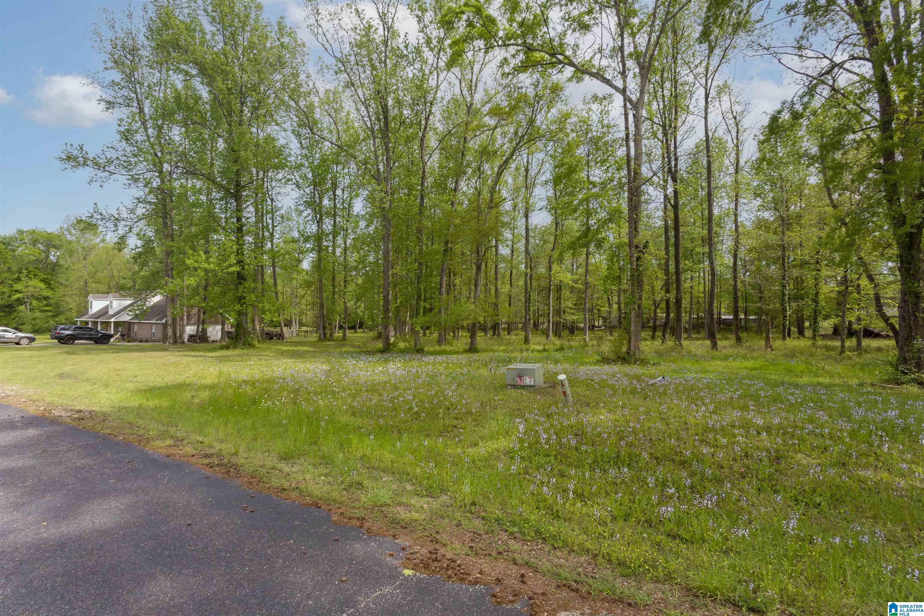 797 County Road Clanton, AL 35045 - Photo 40 of 44