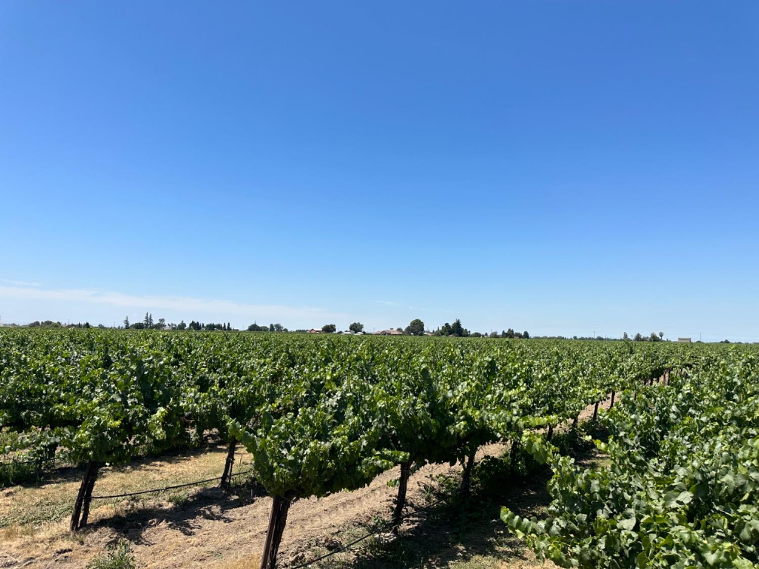 13884 North Locust Tree Road Lodi, CA 95240 - Photo 1 of 1 Gallery Image 1