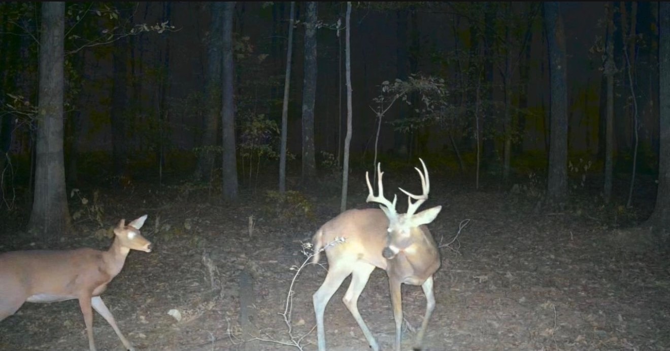 123 Rock Bridge Road Bethpage, TN 37022 - Photo 2 of 26