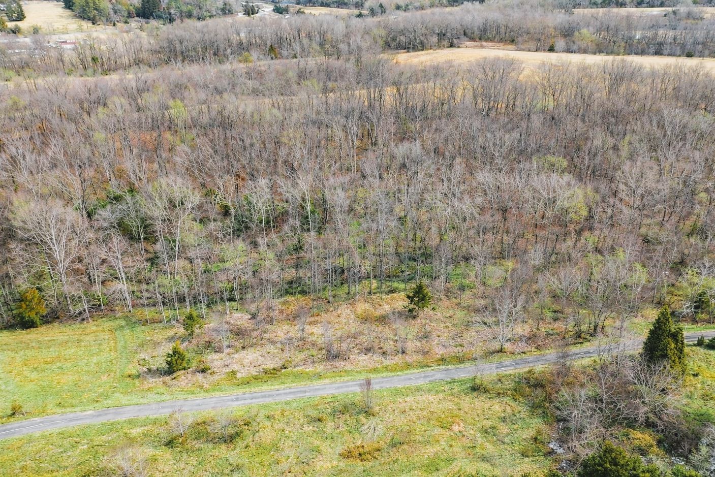 123 Rock Bridge Road Bethpage, TN 37022 - Photo 5 of 26