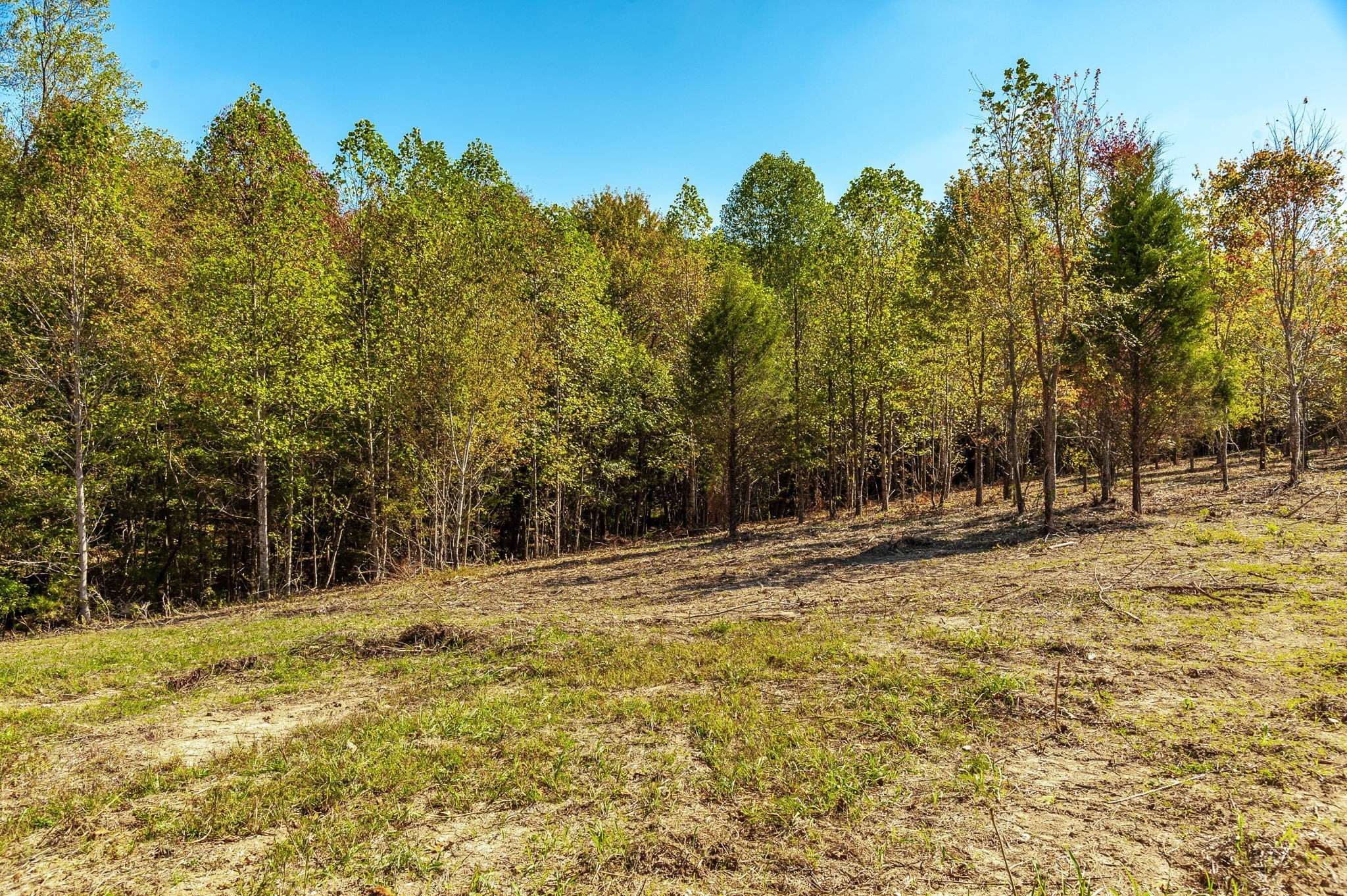 123 Rock Bridge Road Bethpage, TN 37022 - Photo 7 of 26