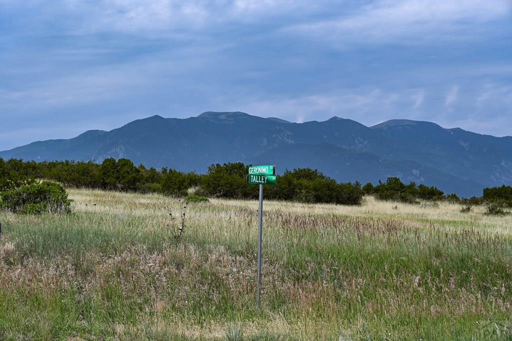 Tbd Geronimo Road Rye, CO 81069 - Photo 2 of 6