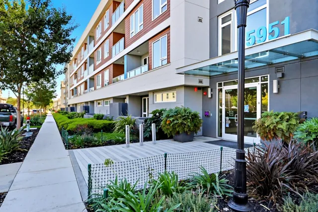 a view of a building with potted plants
