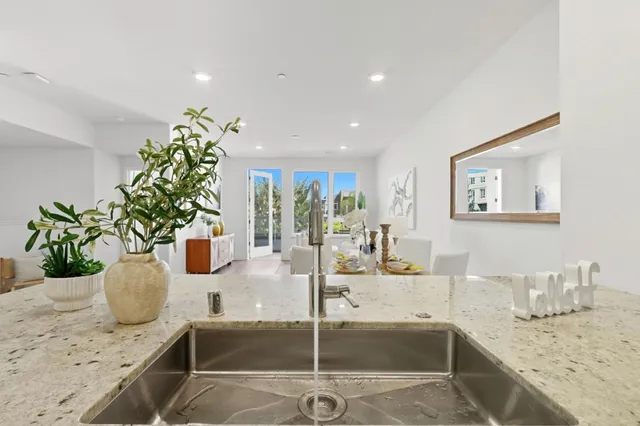 a kitchen with a granite countertop sink a potted plant and a counter top space